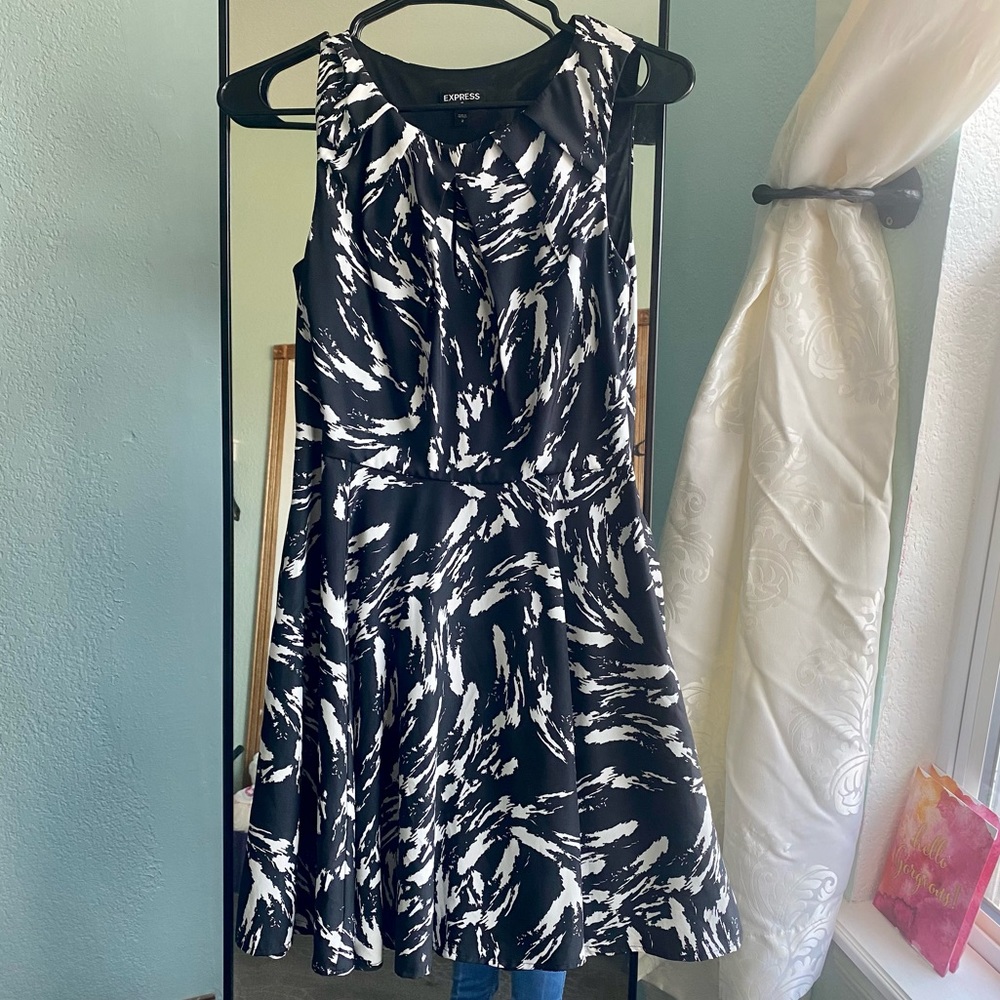 Express Dress - Picture 3 of 7